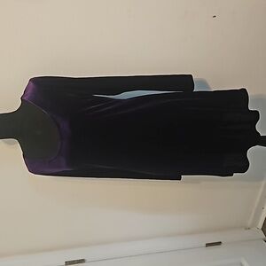 Deep Purple Velvet Dress